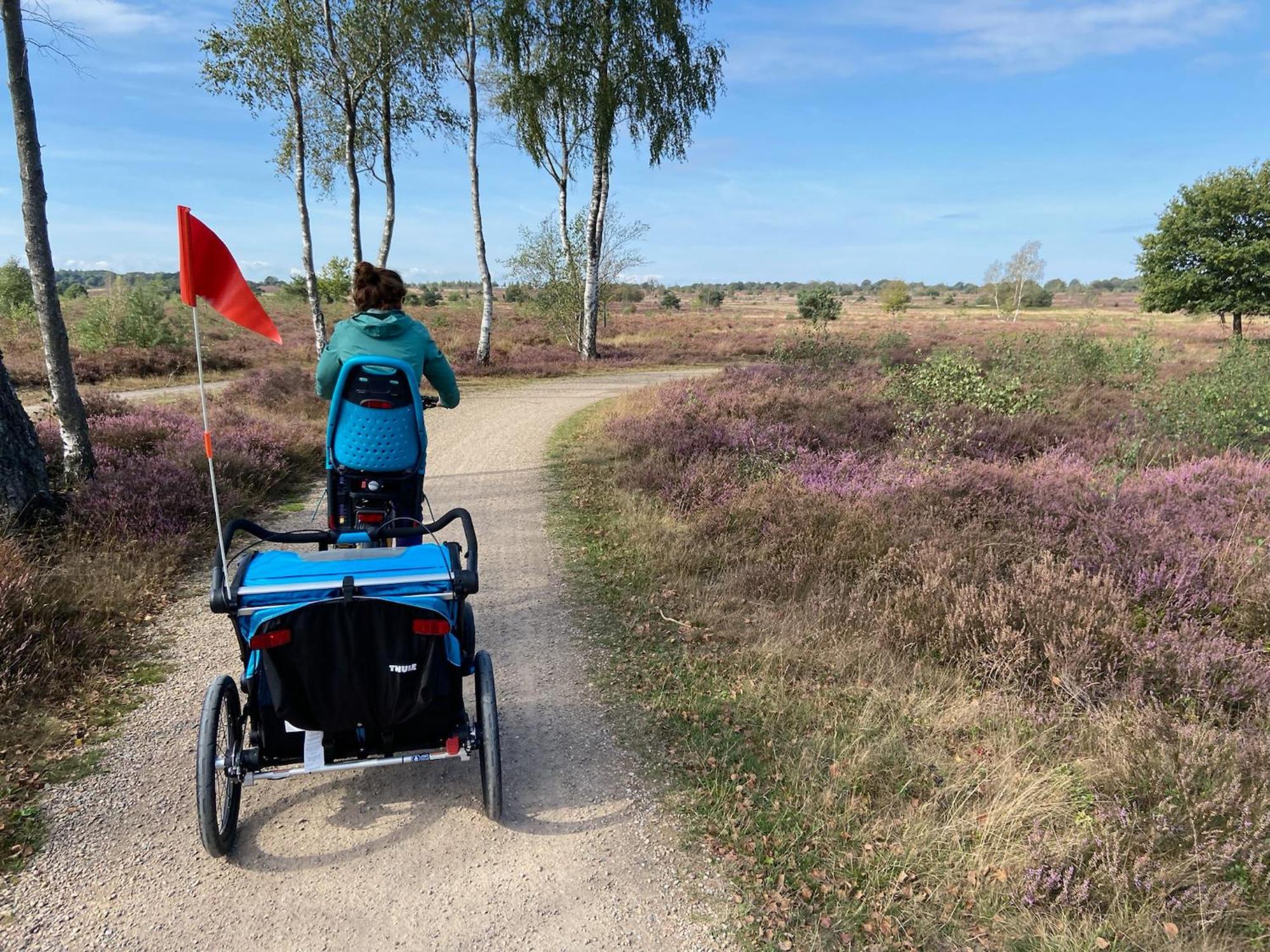 Vakantiehuis Vliegend Hert Veluwe นึนชเปท ภายนอก รูปภาพ